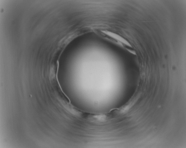 X0000076450478200610271828