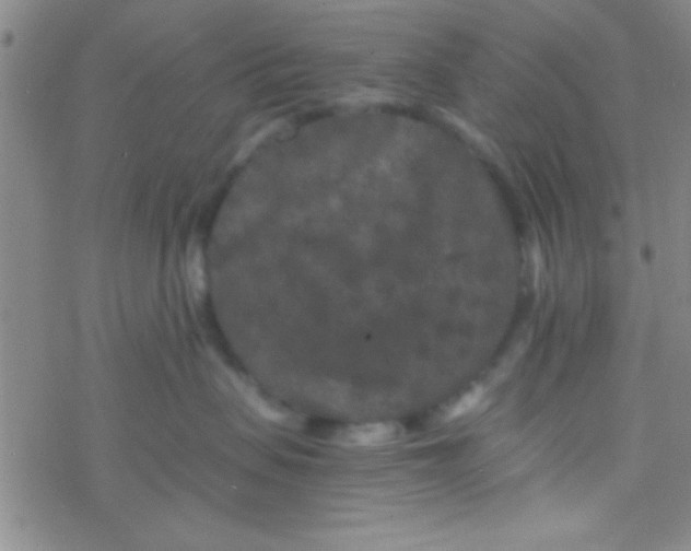 X0000076450479200610271828