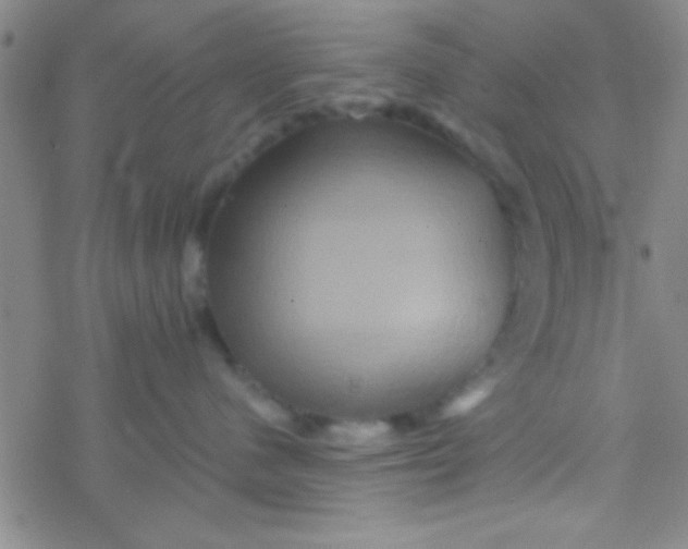 X0000076450480200610271828