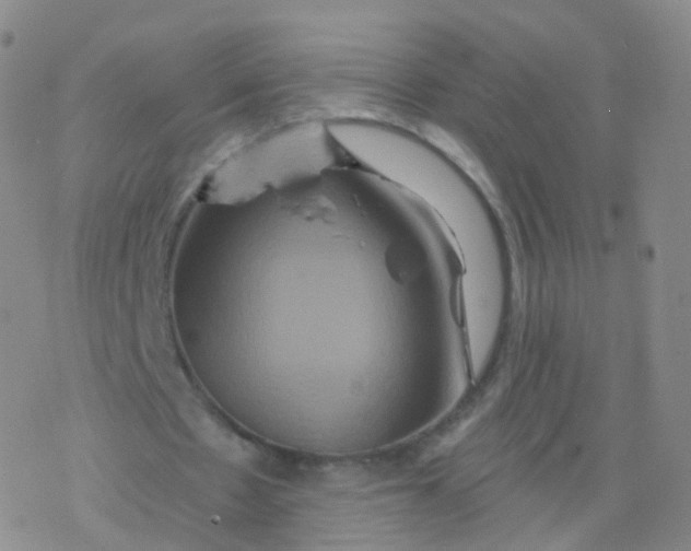 X0000076450481200610271828