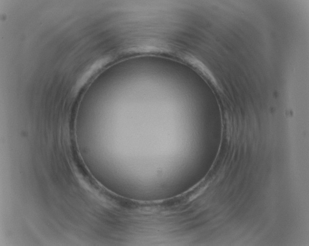 X0000076450482200610271828