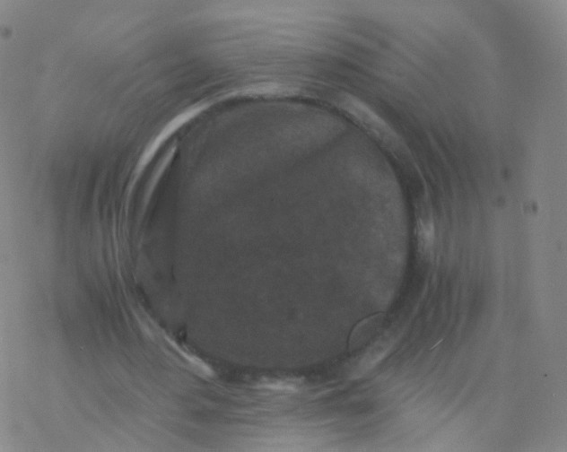 X0000076450484200610271828