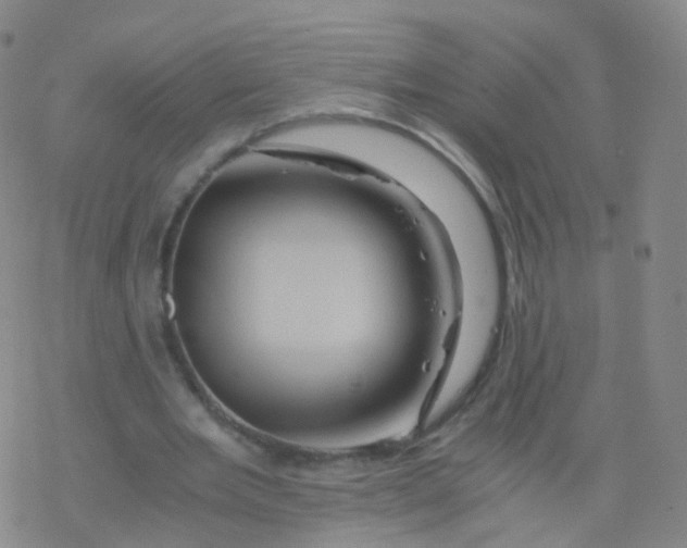 X0000076450485200610271828