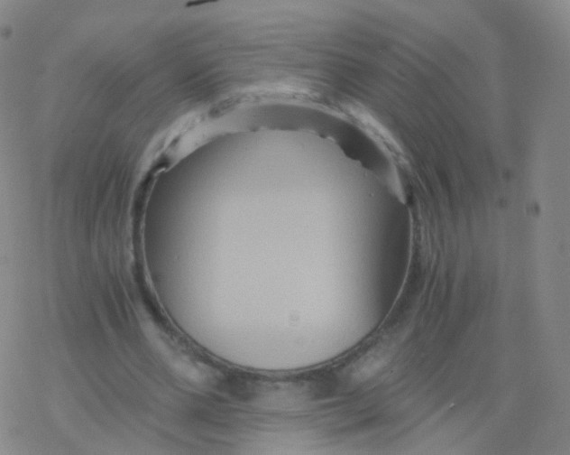 X0000076450486200610271828