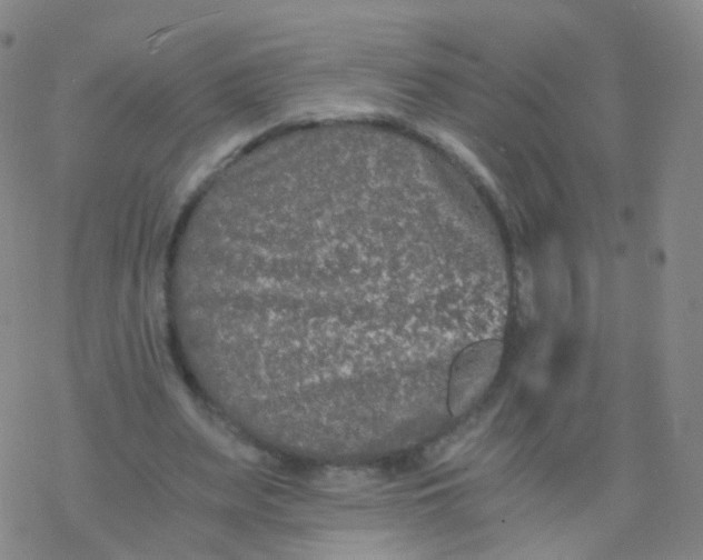 X0000076450487200610271828