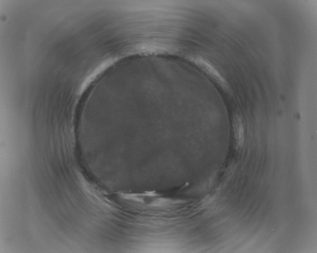 X0000076450488200610271828