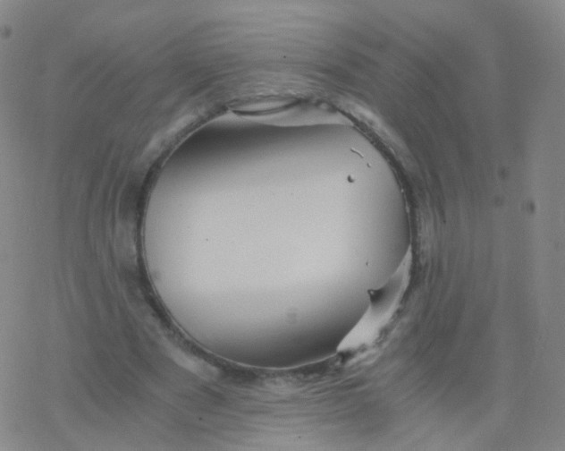 X0000076450489200610271828