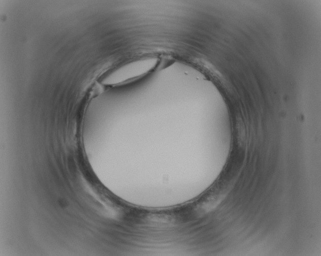 X0000076450490200610271827