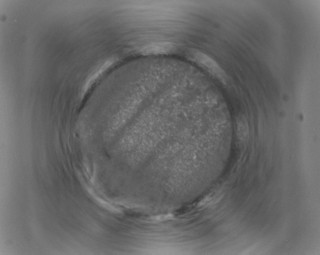 X0000076450491200610271827