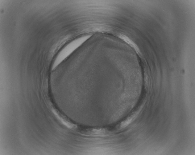 X0000076450493200610271827