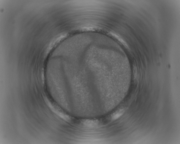 X0000076450494200610271827