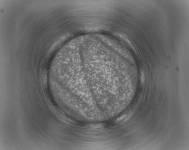 X0000076450495200610271827