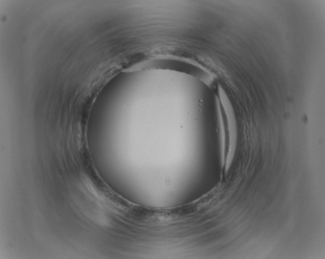 X0000076450498200610271827