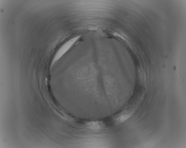 X0000076450499200610271827