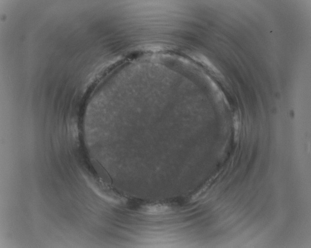 X0000076450500200610271827