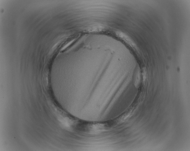 X0000076450501200610271827