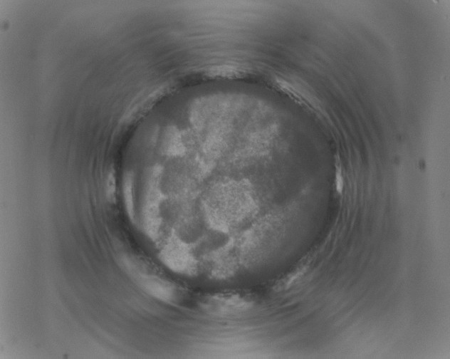 X0000076450502200610271827