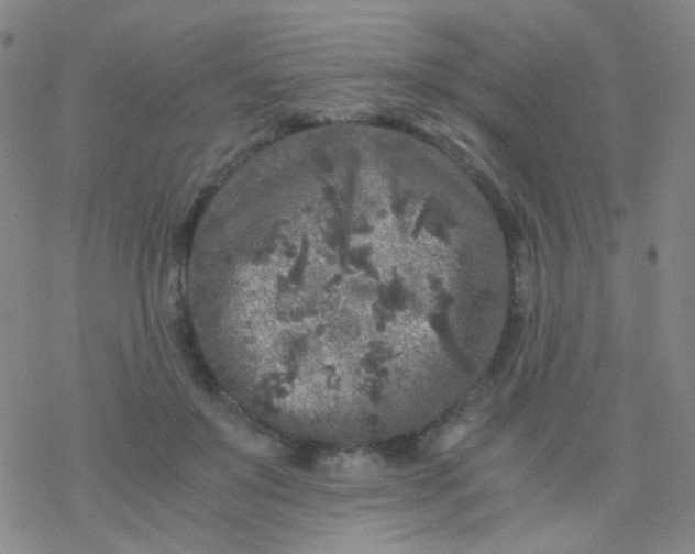 X0000076450503200610271827