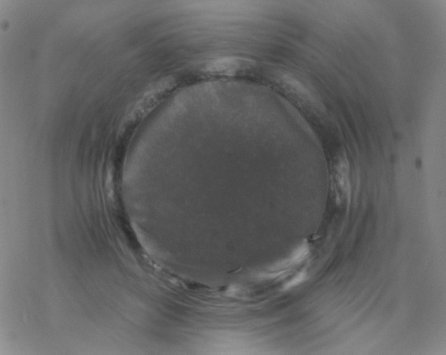 X0000076450504200610271827