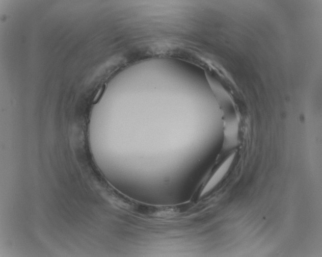 X0000076450505200610271827