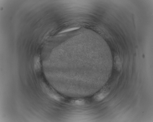 X0000076450506200610271827