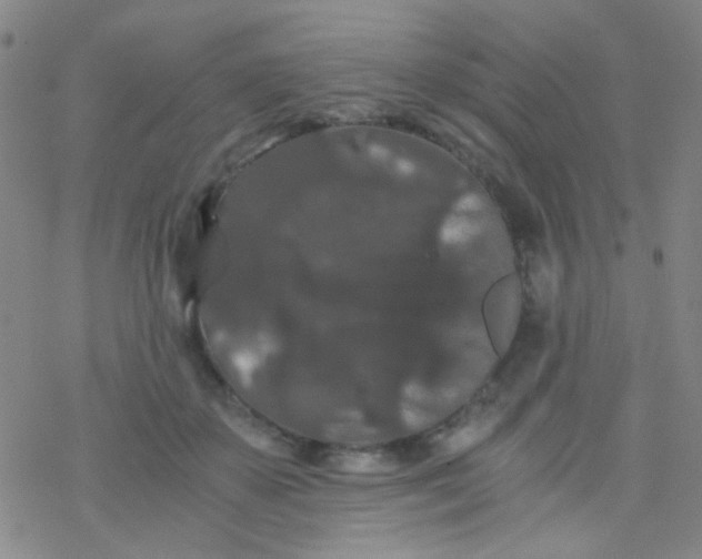 X0000076450507200610271827