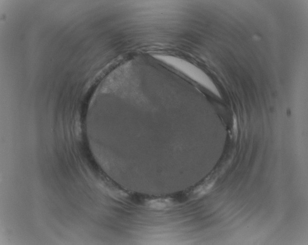 X0000076450508200610271827