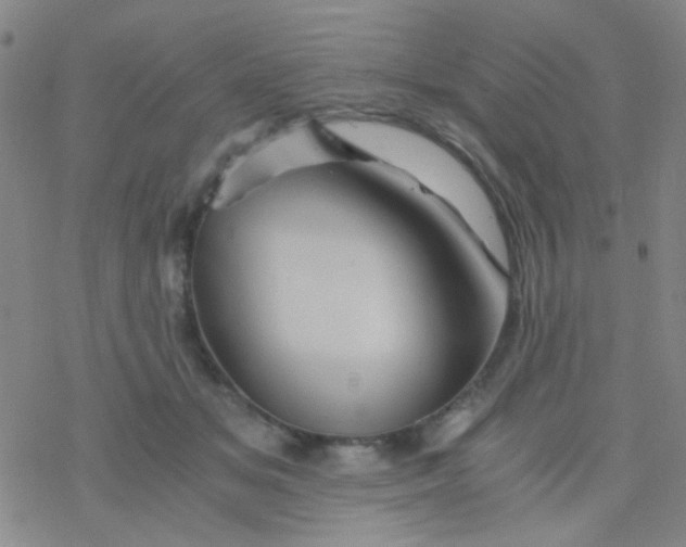 X0000076450509200610271827