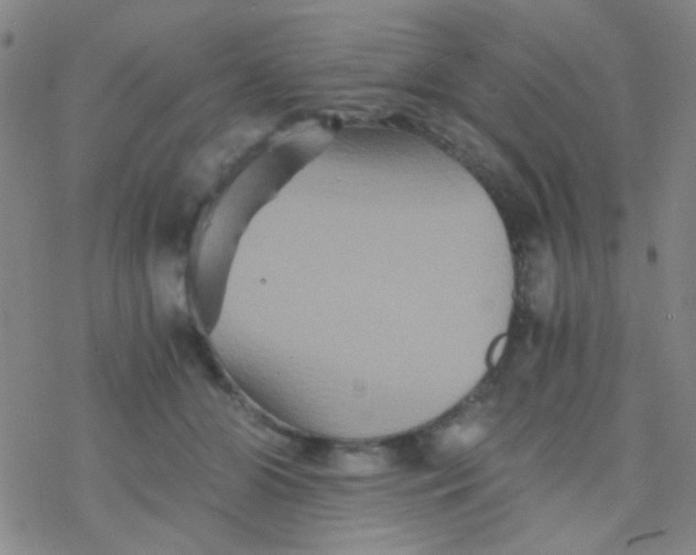 X0000076450510200610271827