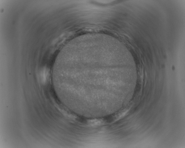 X0000076450511200610271827