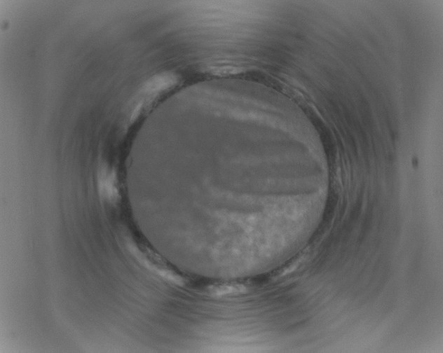 X0000076450512200610271827