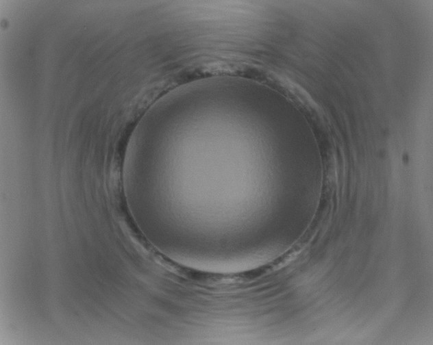 X0000076450513200610271827