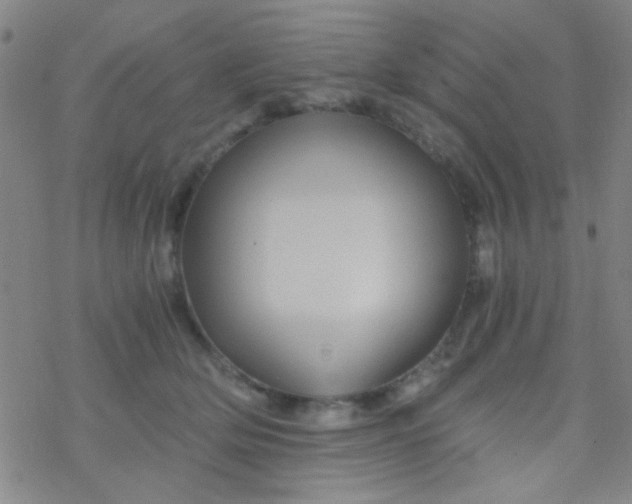 X0000076450514200610271827