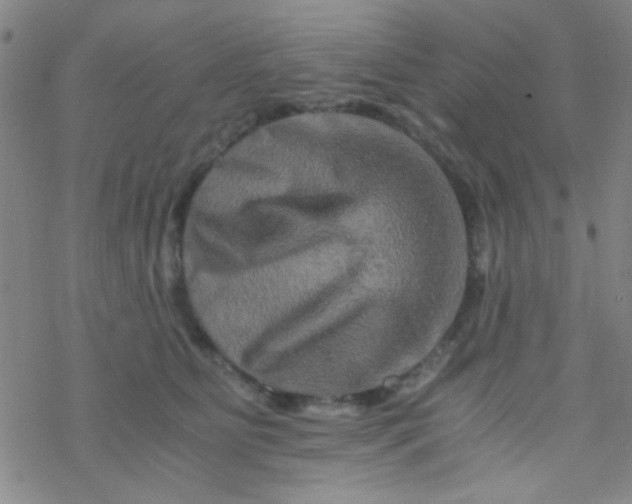 X0000076450515200610271827