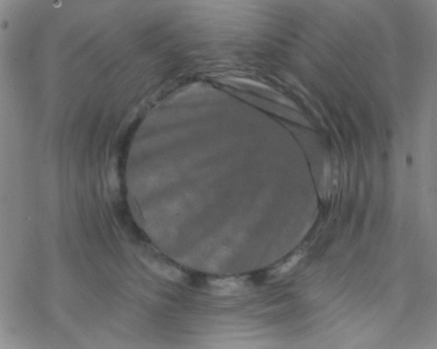 X0000076450516200610271827