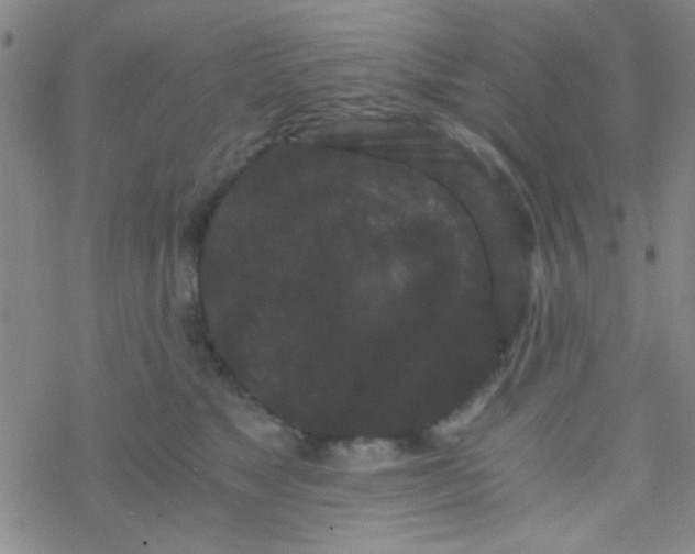 X0000076450517200610271827