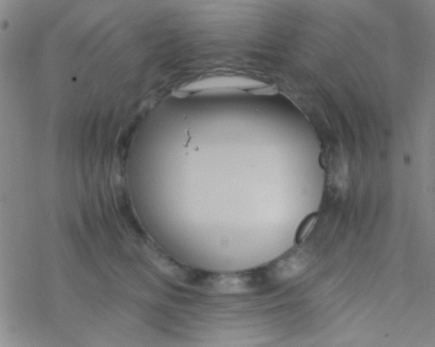 X0000076450518200610271827