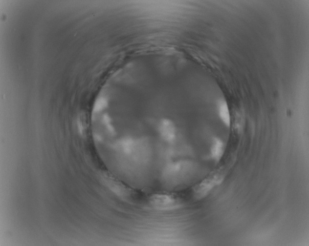 X0000076450519200610271827