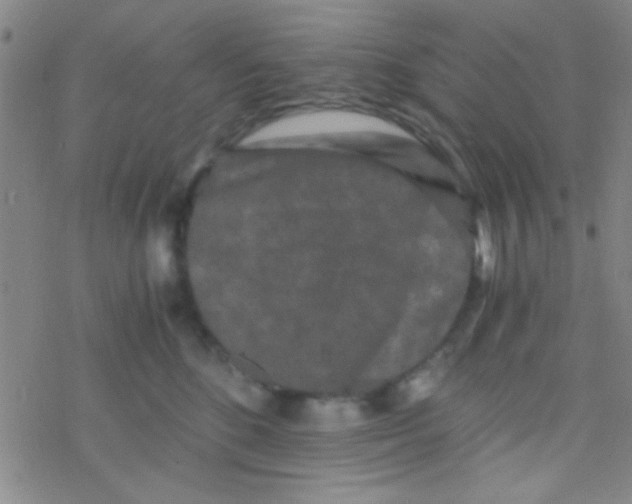 X0000076450520200610271827