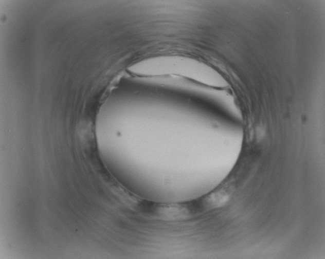 X0000076450521200610271827