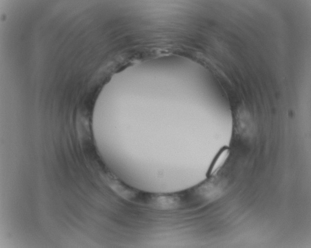 X0000076450522200610271827