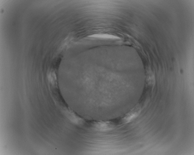 X0000076450523200610271827