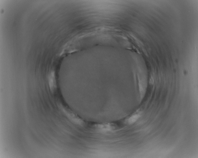 X0000076450524200610271827