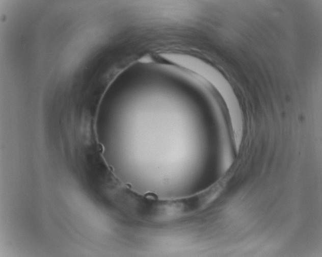 X0000076450525200610271827