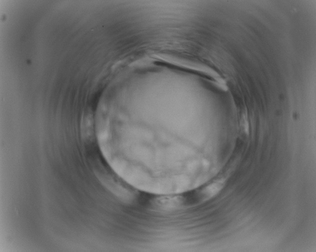 X0000076450526200610271827