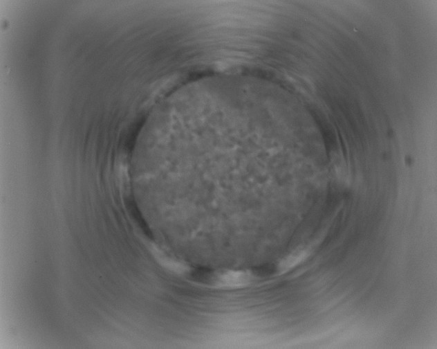 X0000076450527200610271827