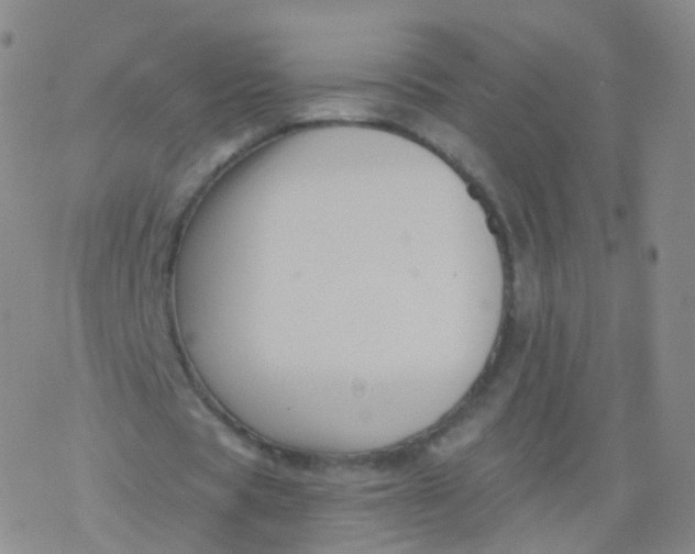 X0000076450529200610271826