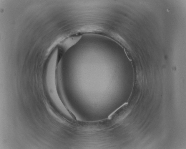 X0000076450530200610271826