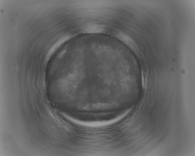 X0000076450531200610271826