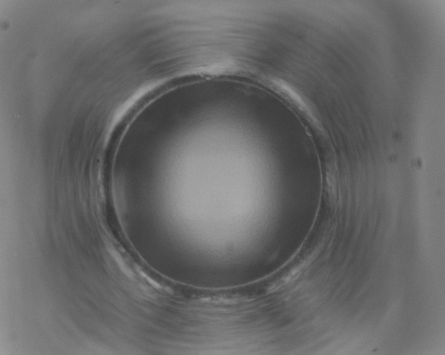 X0000076450532200610271826